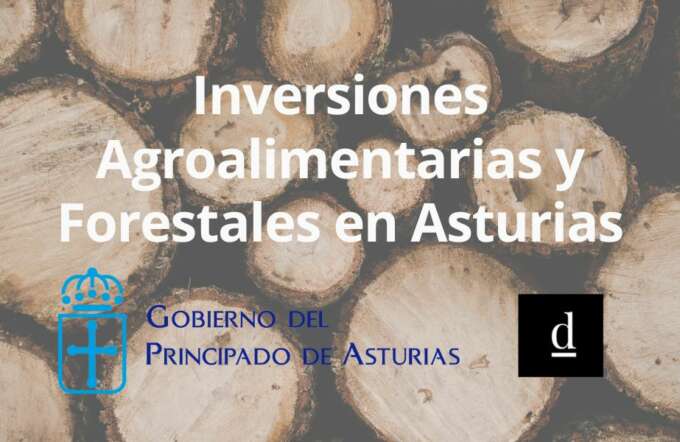 CUPONES DE INNOVACIÓN (30)