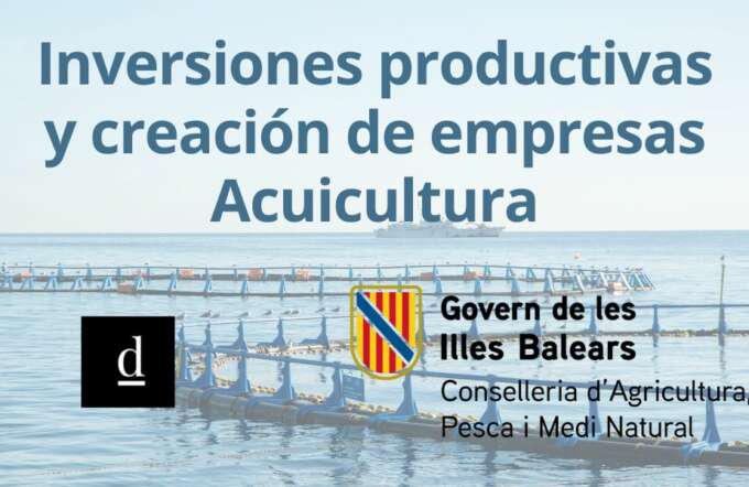 CUPONES DE INNOVACIÓN (33)