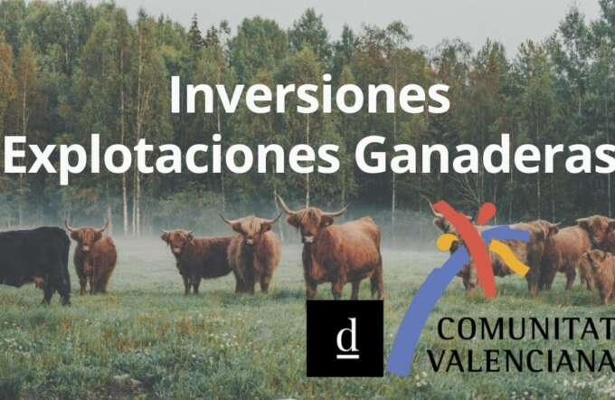 CUPONES DE INNOVACIÓN (66)