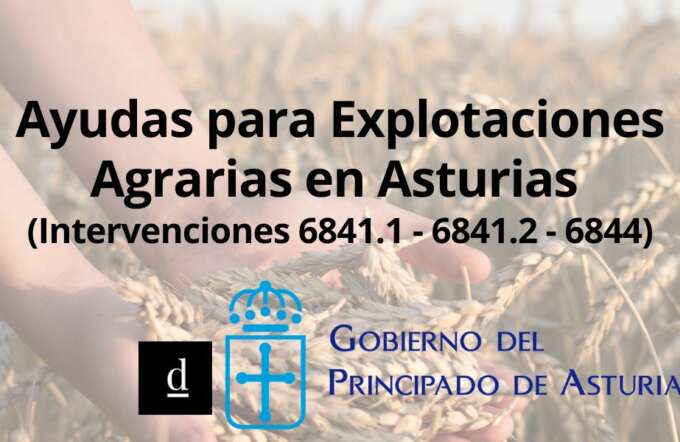 CUPONES DE INNOVACIÓN (73)