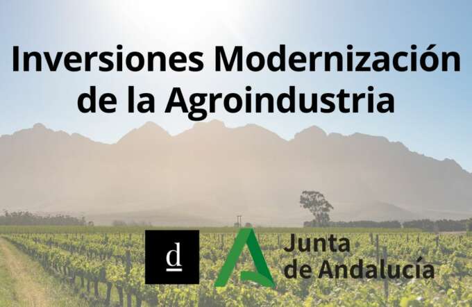 CUPONES DE INNOVACIÓN (77)