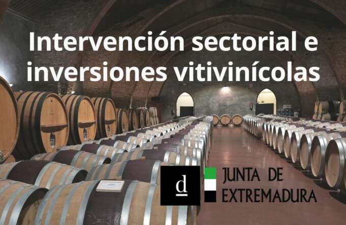 CUPONES DE INNOVACIÓN (79)