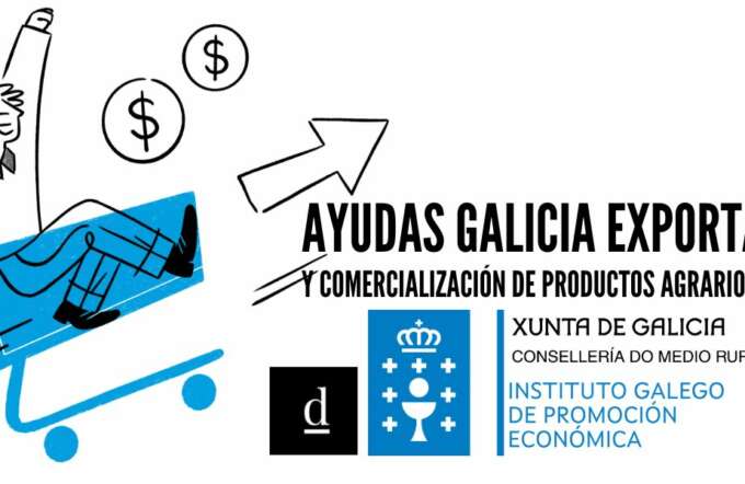 CUPONES DE INNOVACIÓN (91)