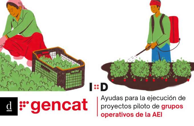 CUPONES DE INNOVACIÓN - 2026-04-24T090606.543