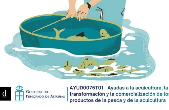 CUPONES DE INNOVACIÓN - 2026-05-21T130457.273