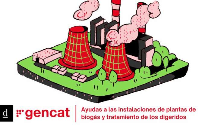 CUPONES DE INNOVACIÓN - 2026-05-28T173641.370