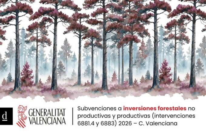 CUPONES DE INNOVACIÓN - 2026-09-14T125059.387